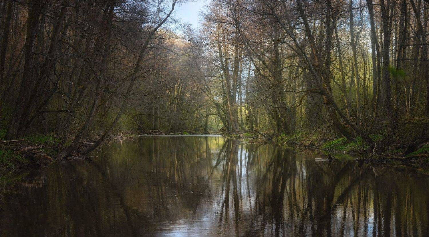 тула, вашана, Сергей Кочергин