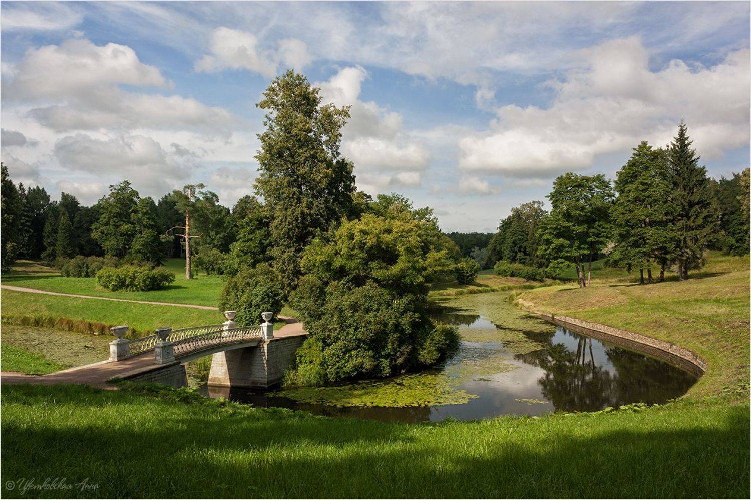 павловск, лето, Анна Цветковская
