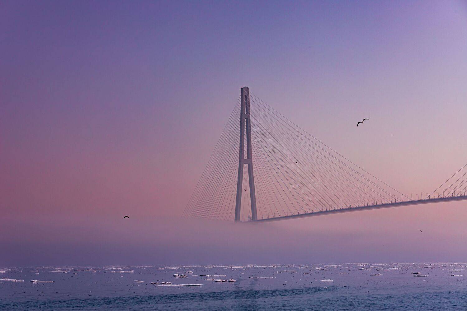 город, мост, закат, зима, Лоскутова Евгения