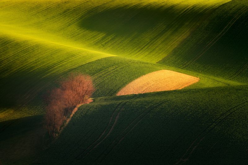 In waves фото превью