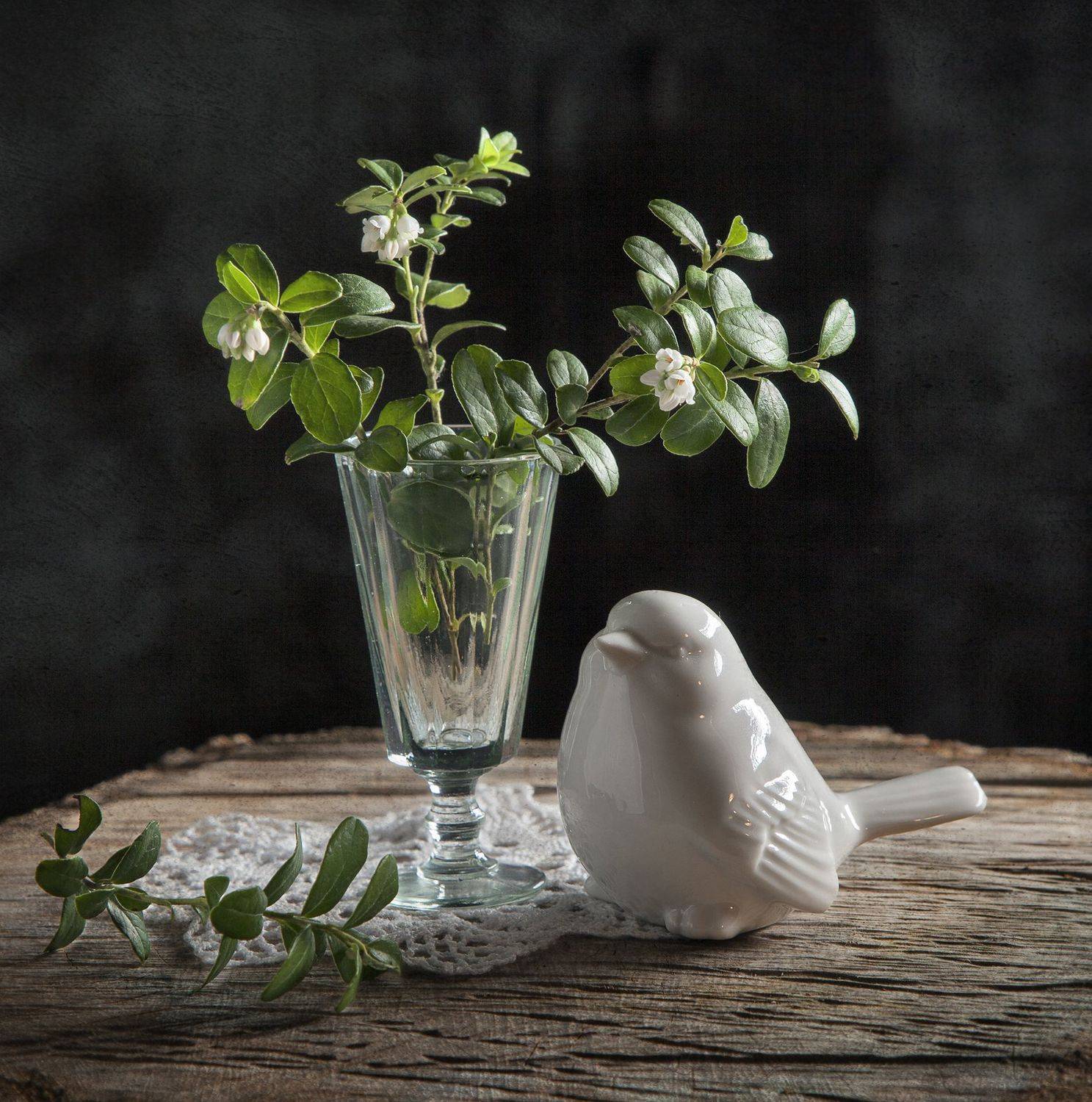 брусника, цвет, воробей, листья., Татьяна Попова