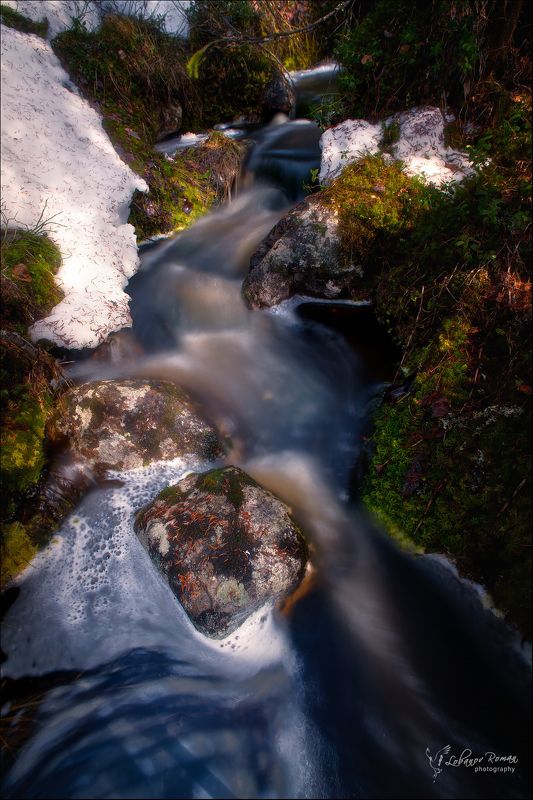 * * * фото превью