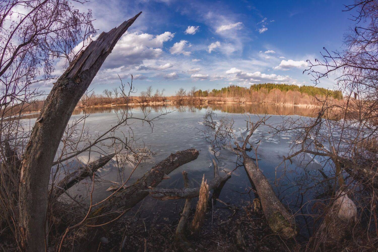 , Котов Андрей