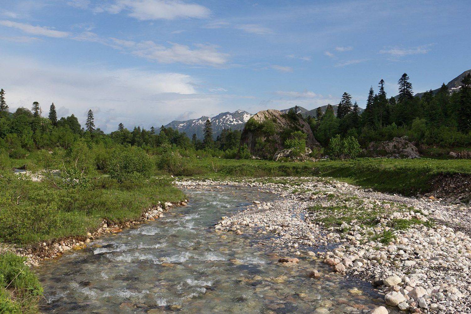 белая, михаил