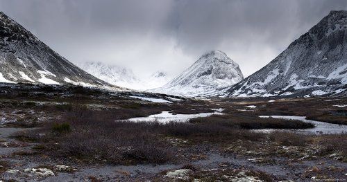 Ослепительное сияние лета