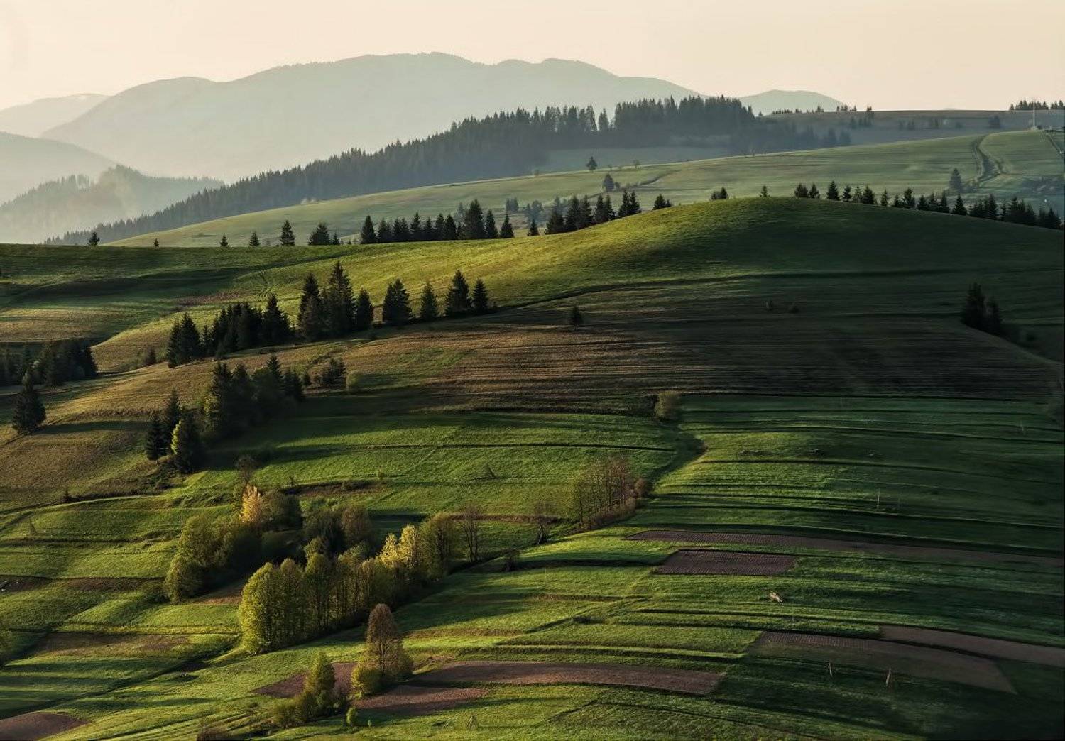 , Скалин Алексей