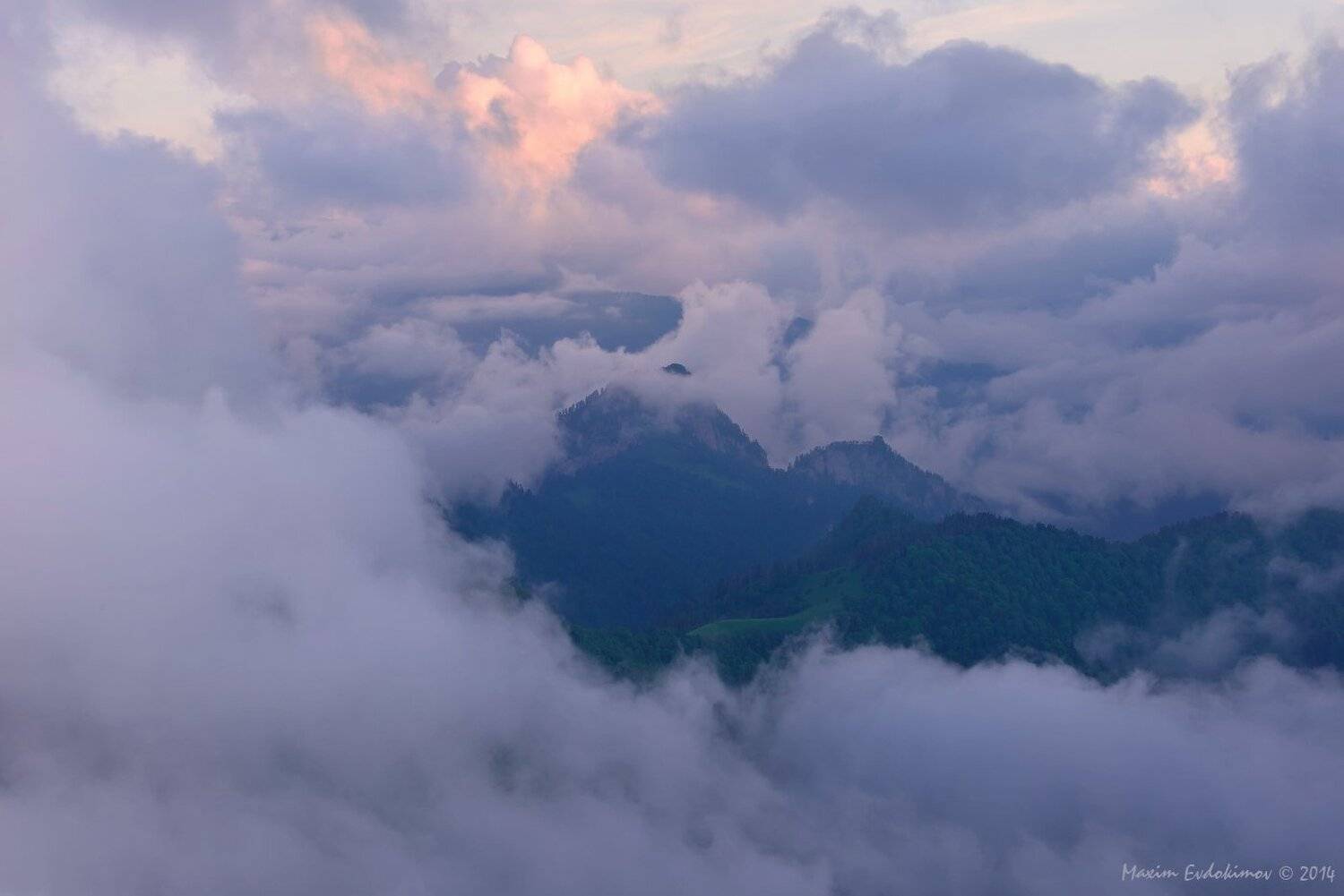 , Максим Евдокимов