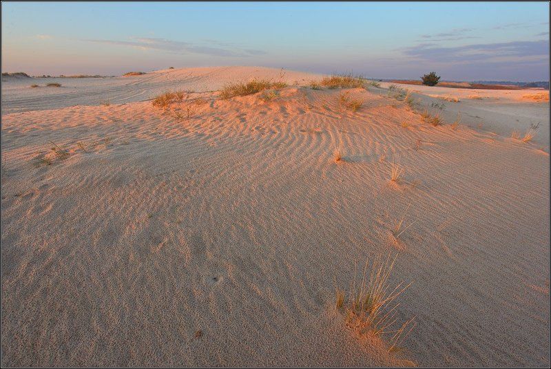 рассвет, песок Кицевские пески фото превью
