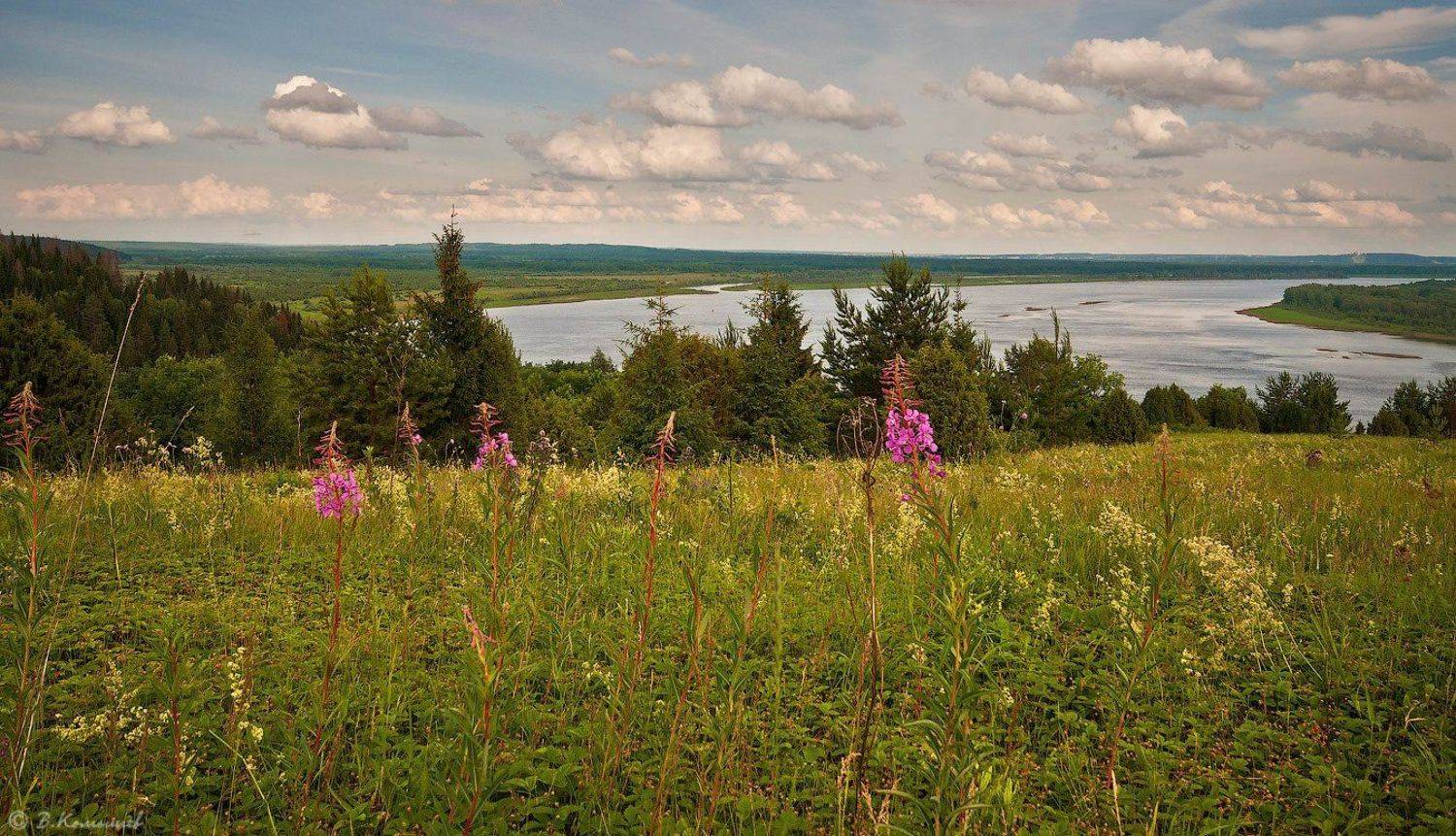 , Владимир Комышев