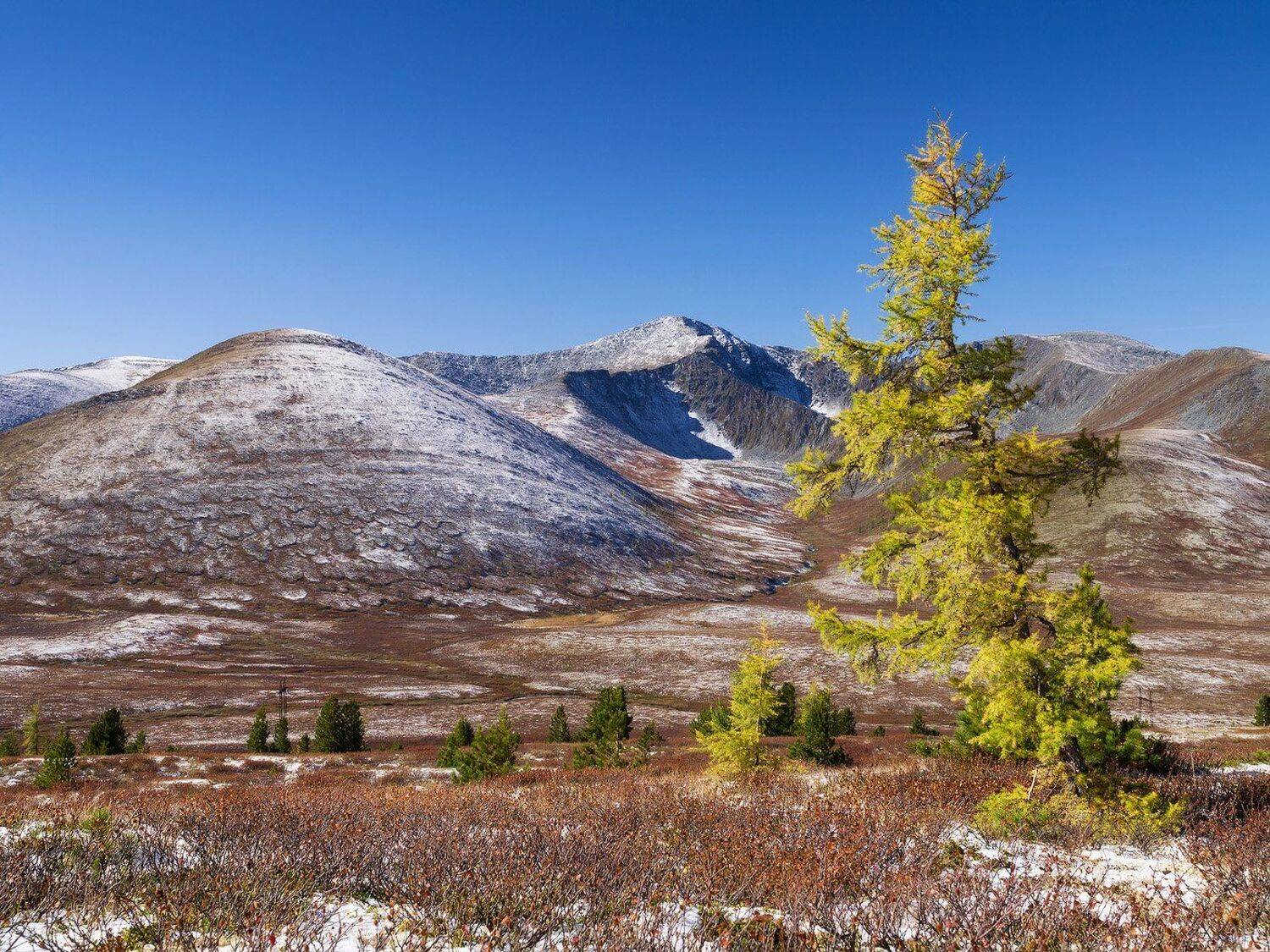 , Лещёнок Александр