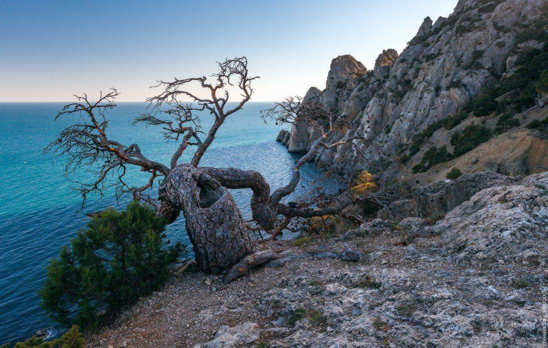 , Ярослав Тюрменко (Jaremi)