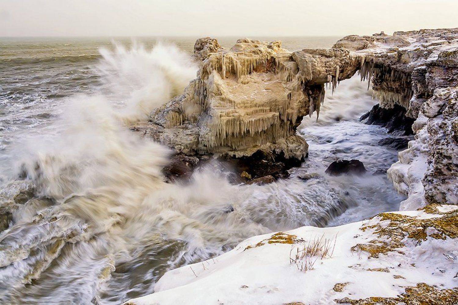 , Малкия Петърчо