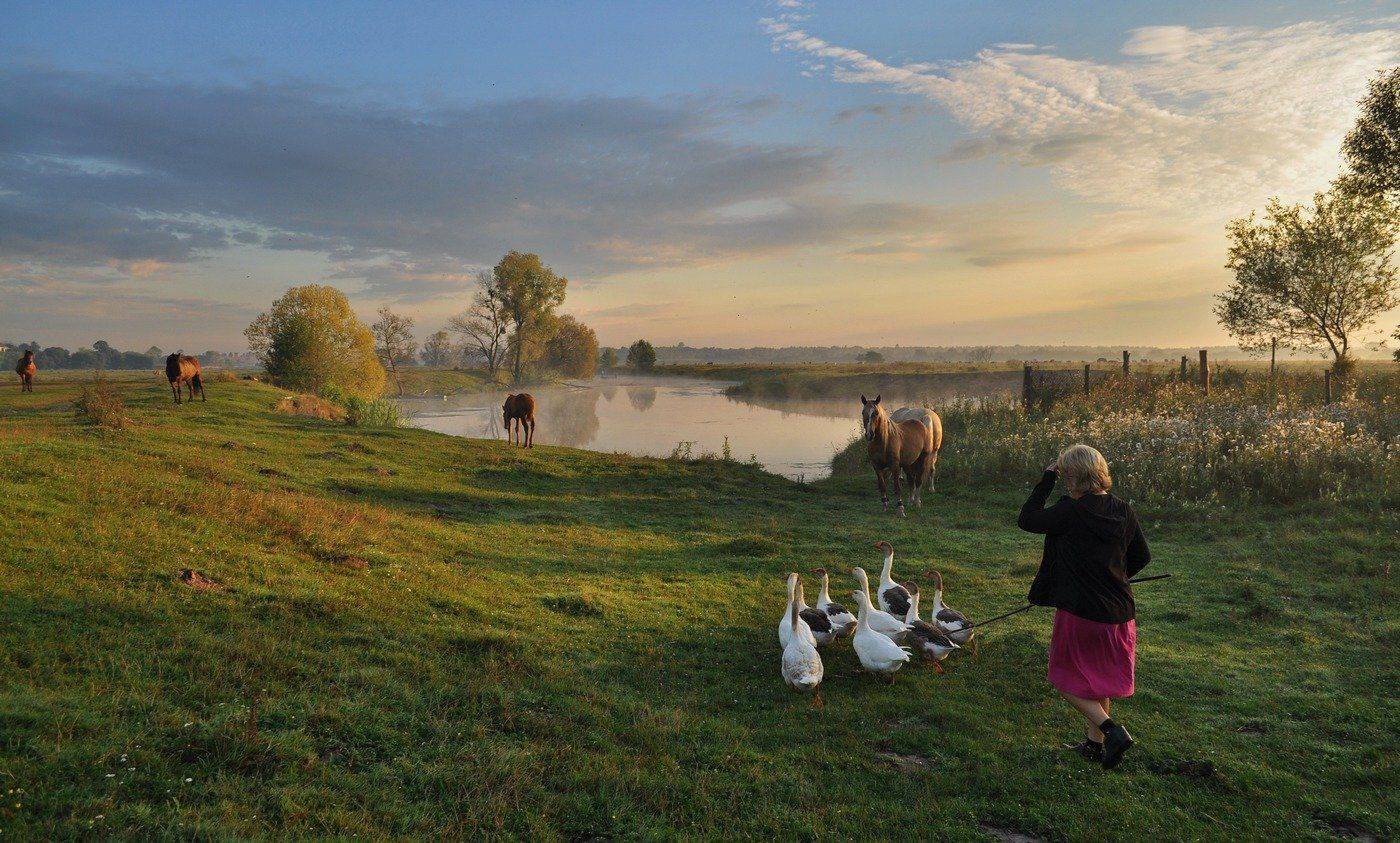 , Володимир Карчевський