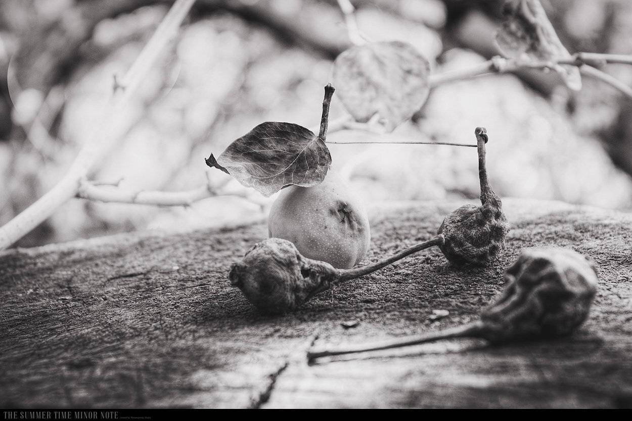, Виталий Пономаренко