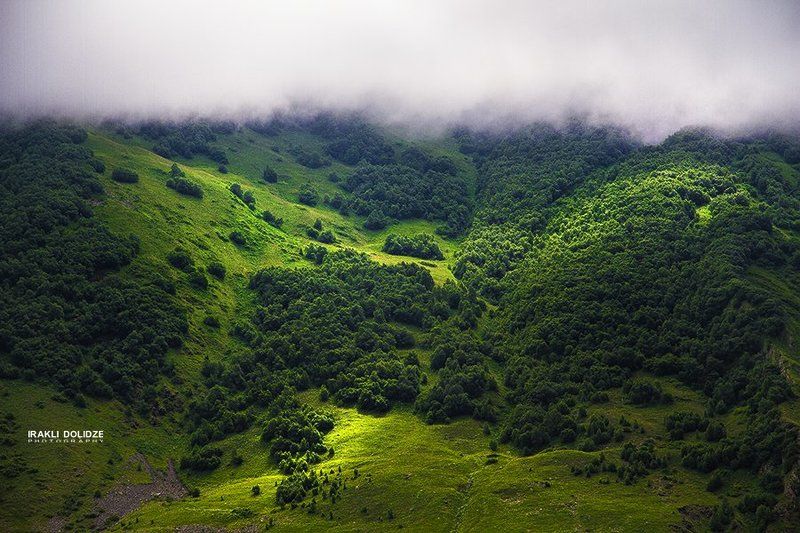 Clouds, Green, Mountain, Sunshine, Trees, Wood Kazbeg, Pansheti фото превью