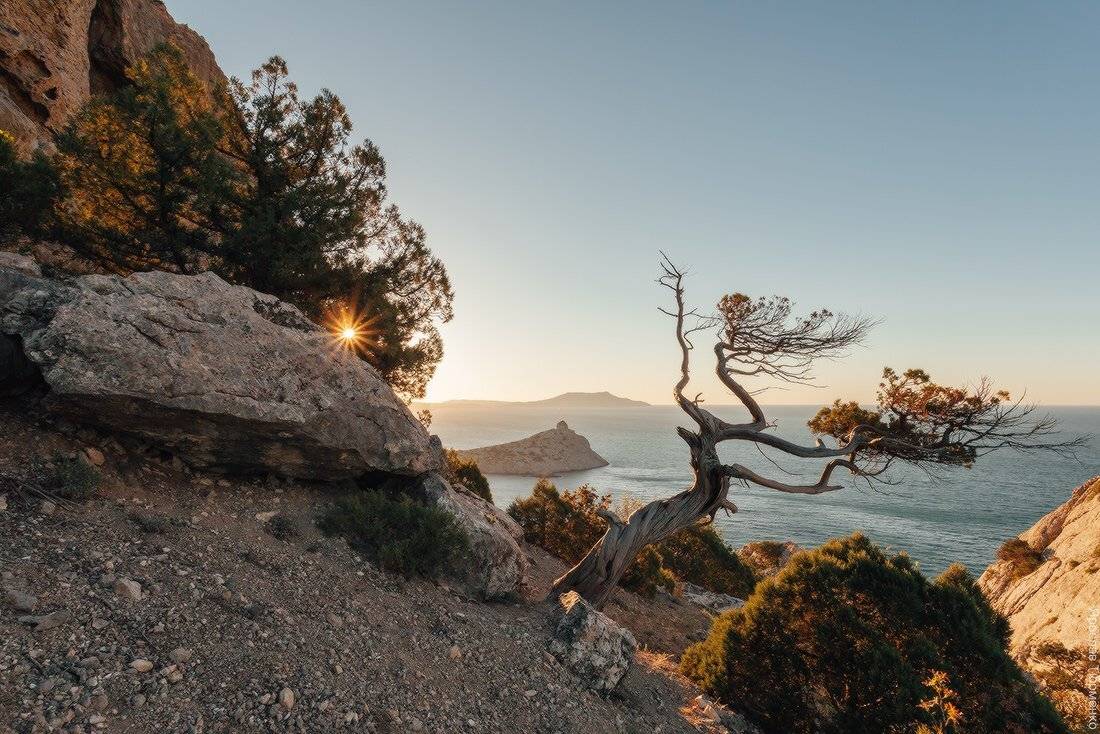 , Ярослав Тюрменко (Jaremi)