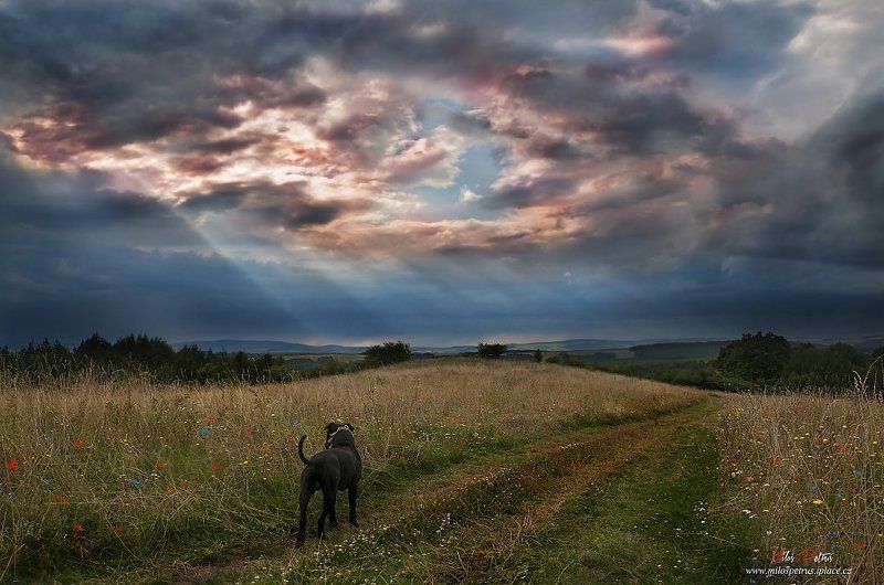 небесный окно фото превью