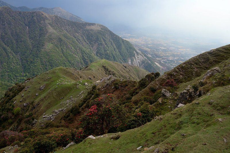 Предгорья Гималаев фото превью