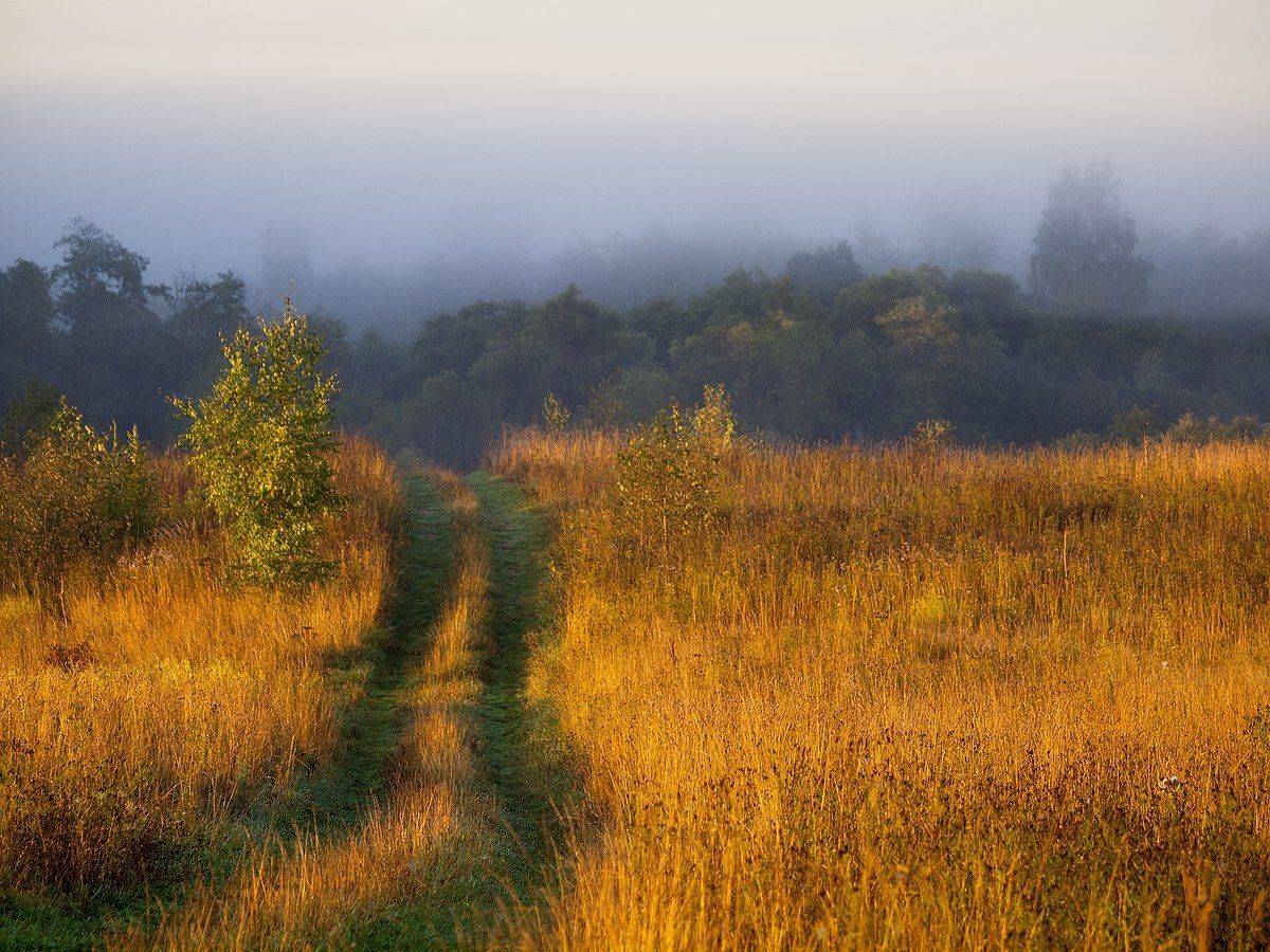 , Владимир Перепечаев