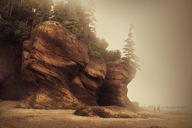 Hopewell Rocks, New Brunswick фото превью