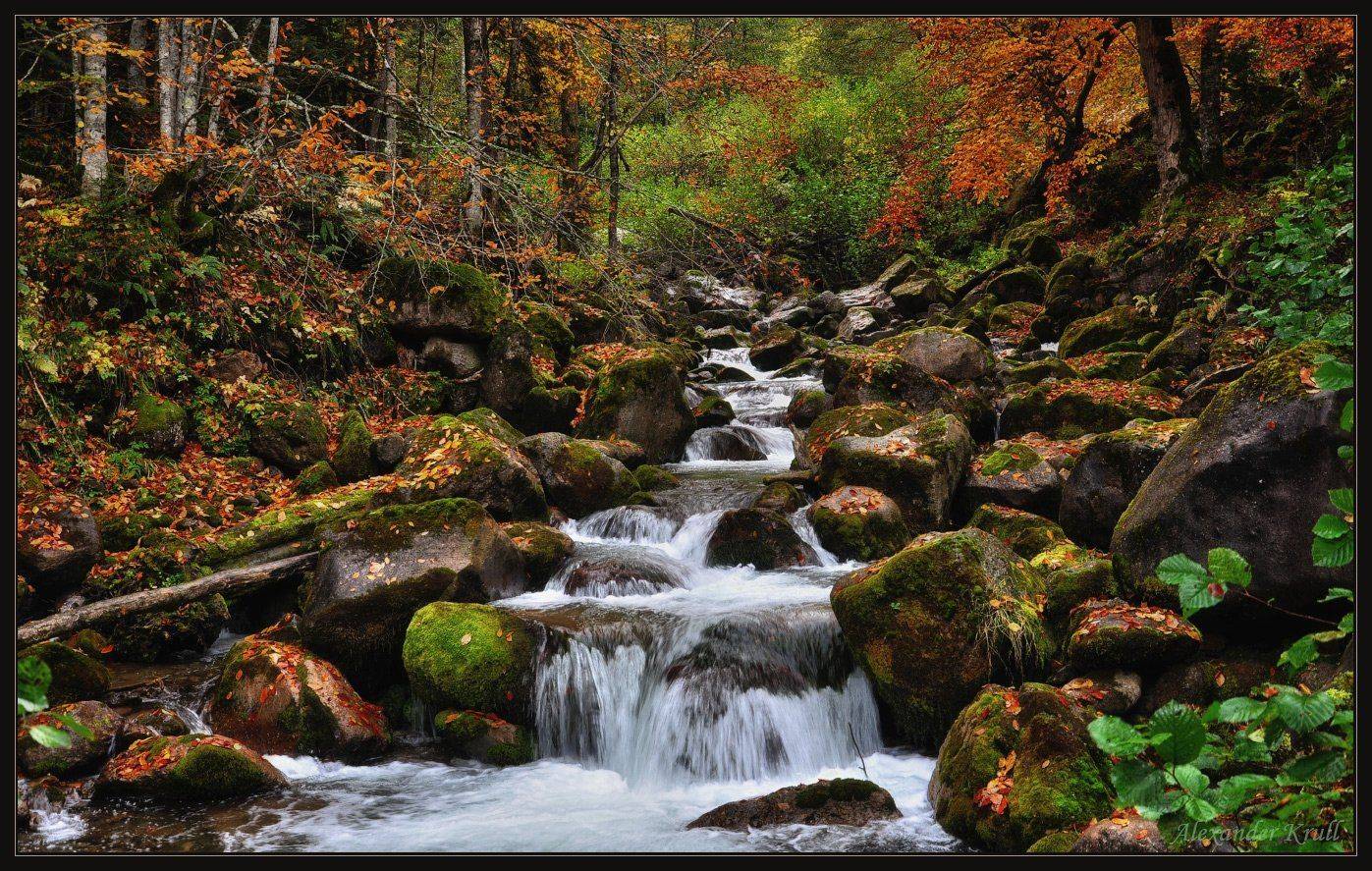 кавказ, кчр, рожкао, Александр Круль
