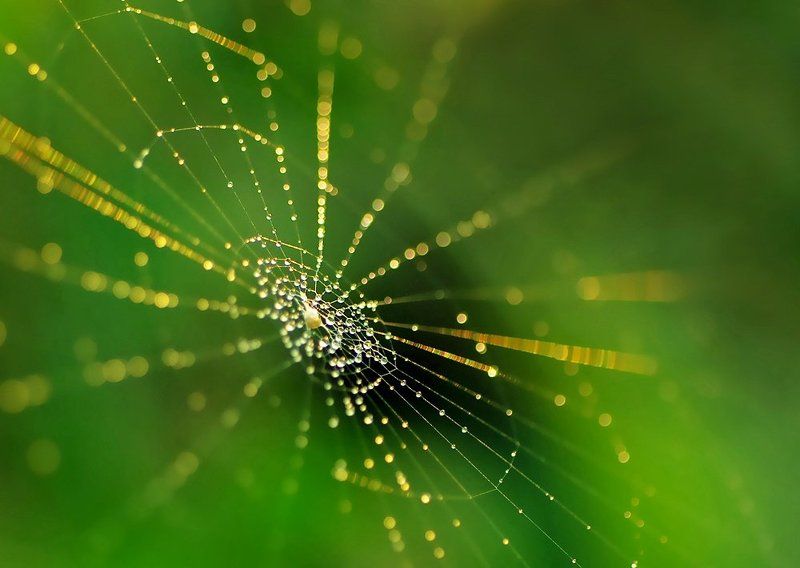 drops фото превью