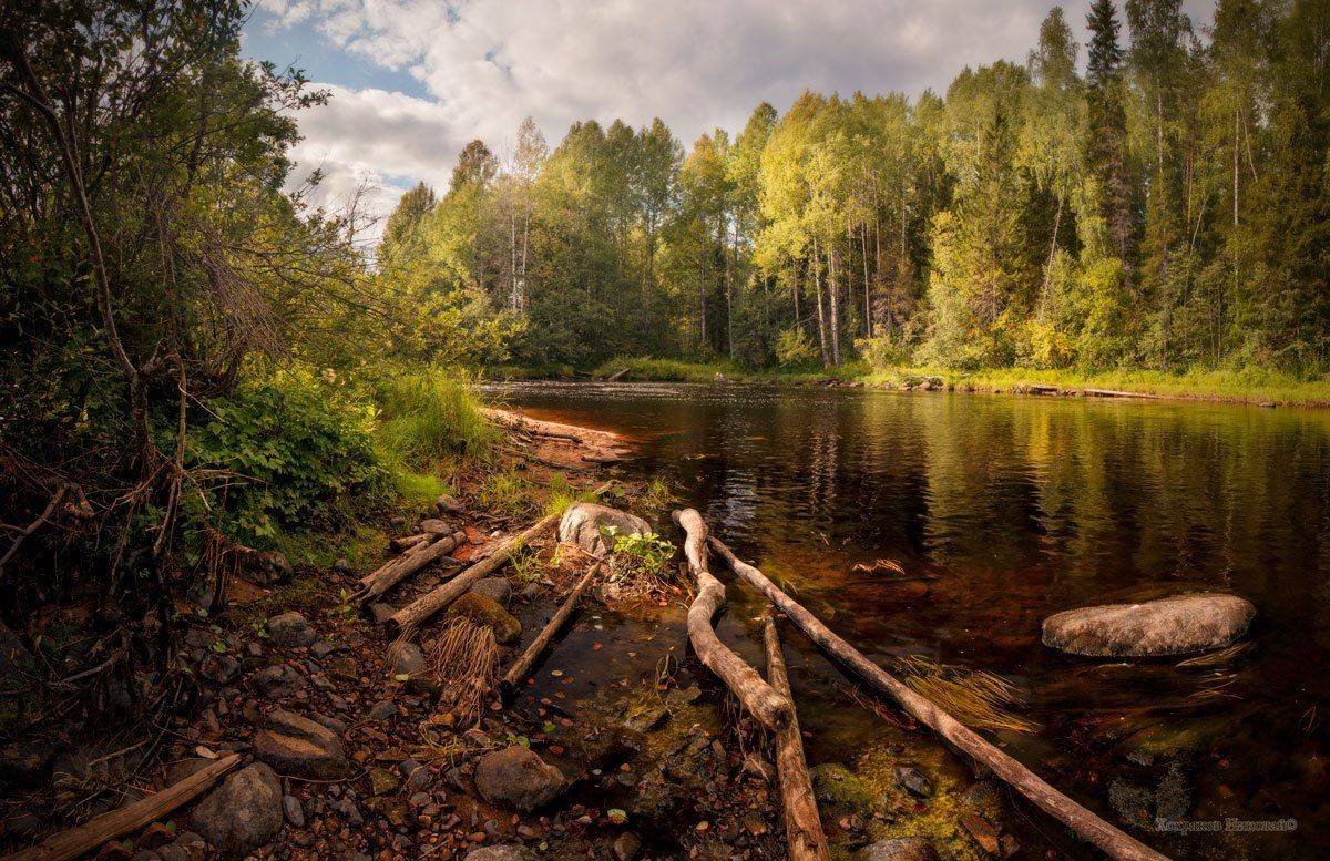 , Хохряков Николай