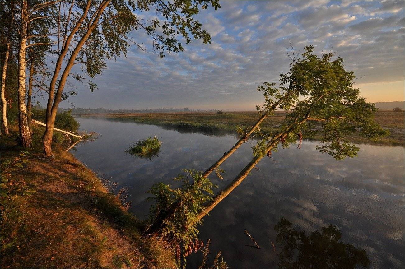 , Володимир Карчевський