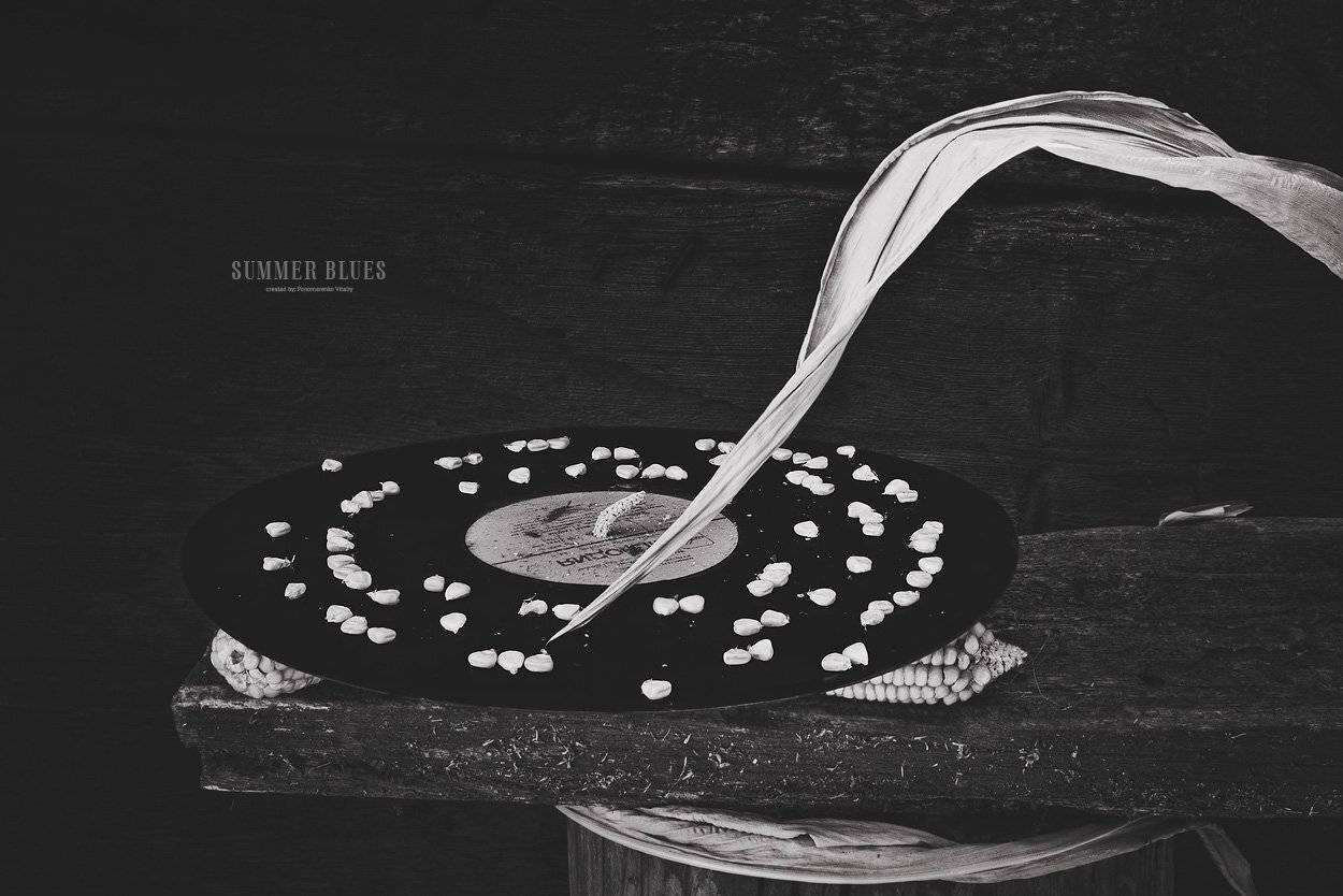 , Виталий Пономаренко