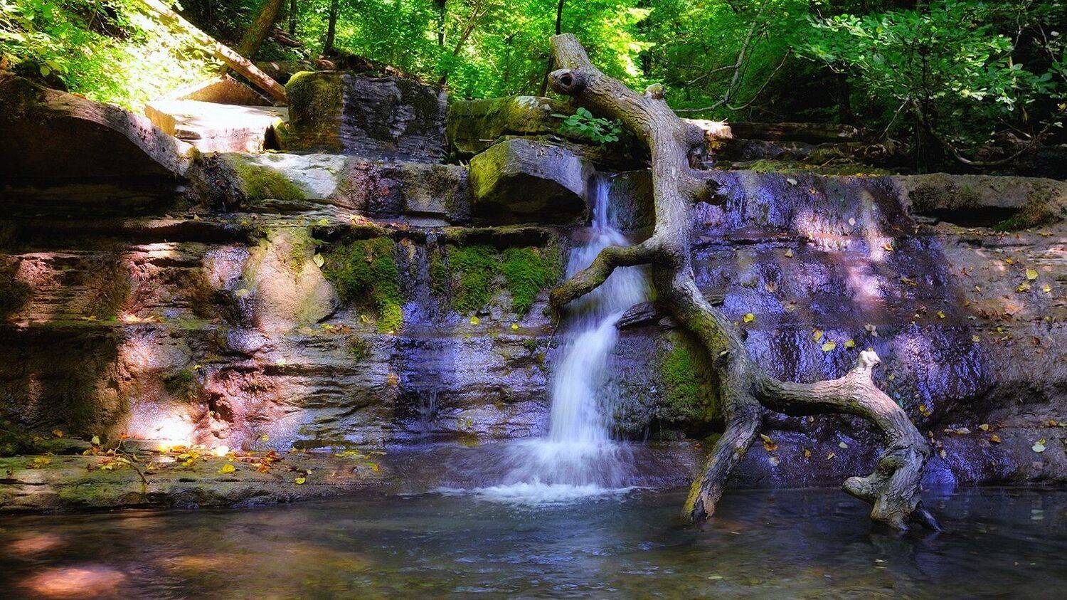 горы, лес, река, водопад, коряга, природа, лето, пейзаж, Serj Master