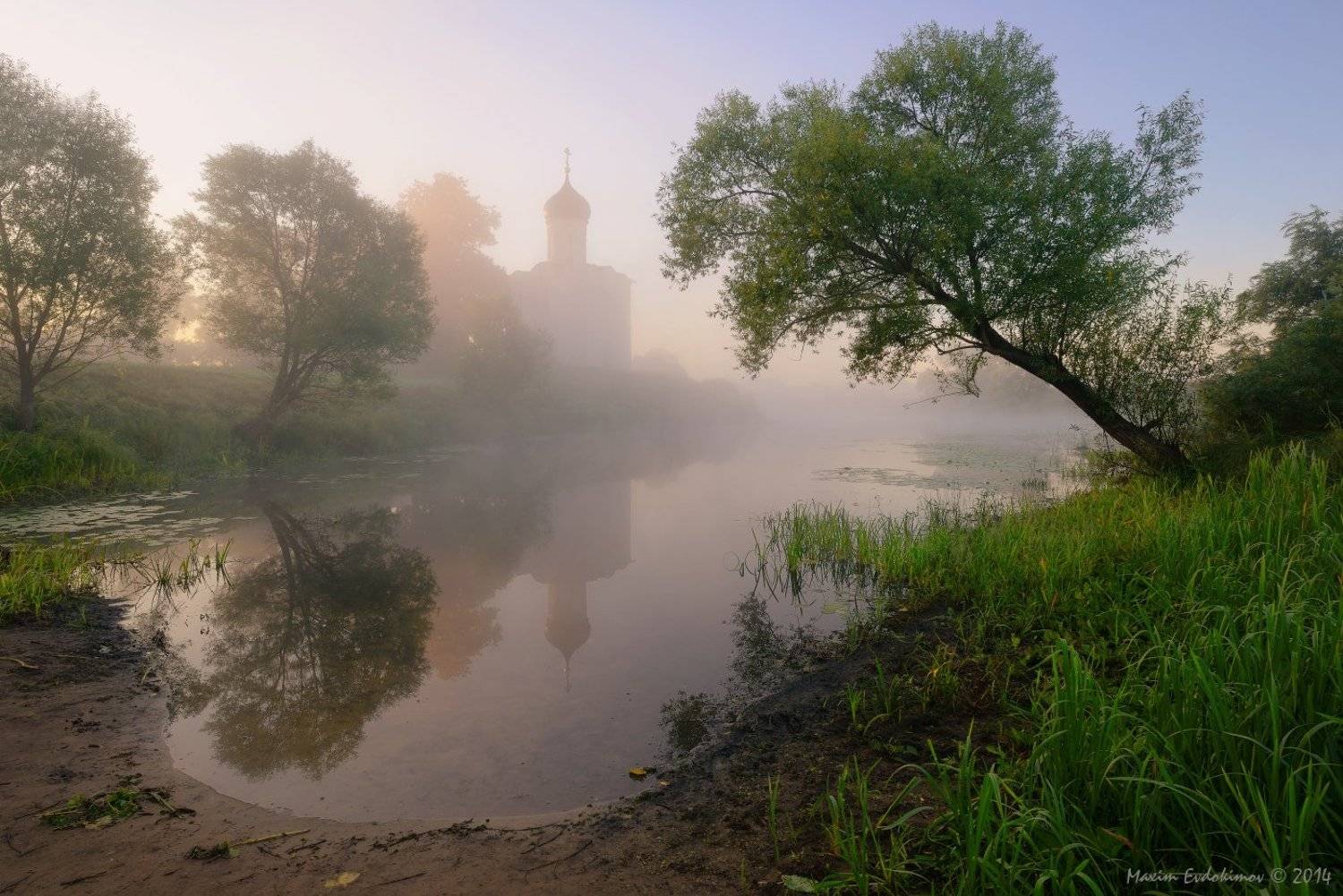 , Максим Евдокимов