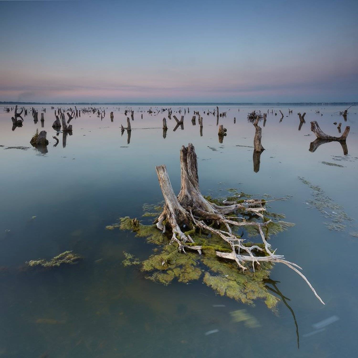 , Михаил Трахтенберг