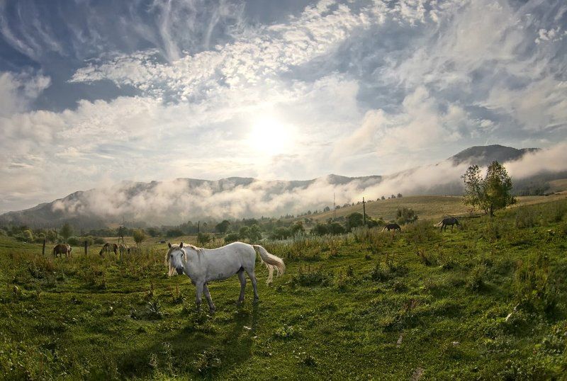 Рассвет на Алтае фото превью