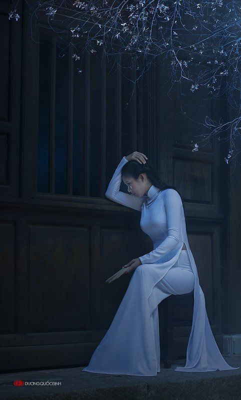 Ao Dai Vietnam .model: Xuan Van, Photo Duong Quoc Dinh фото превью