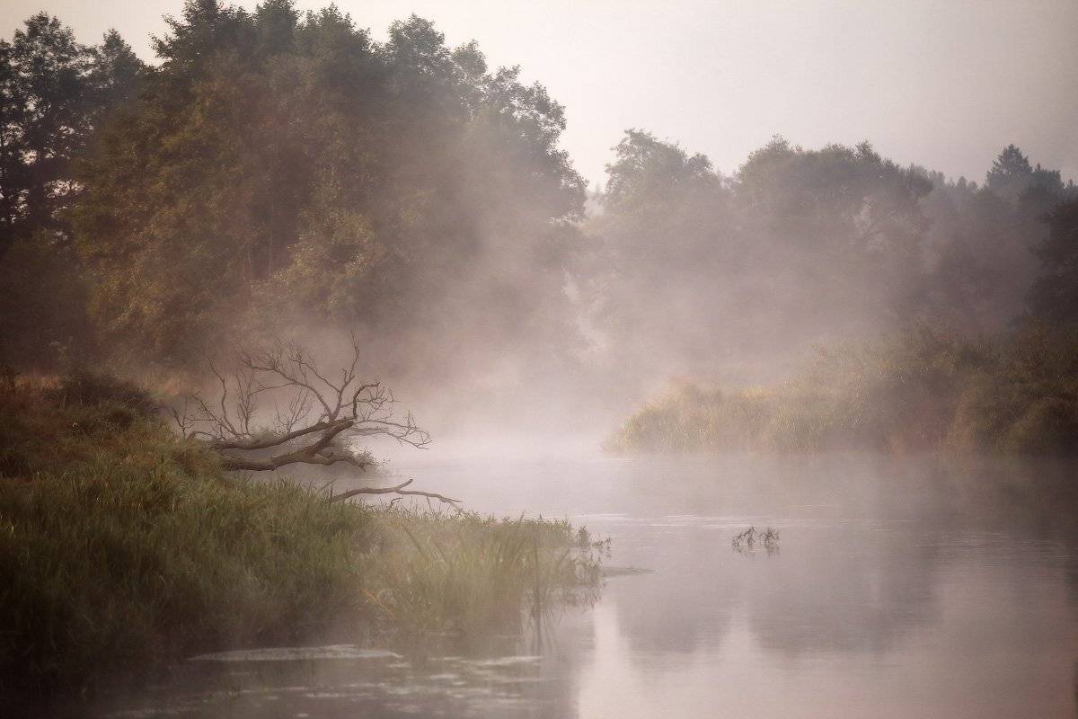 Август, Беларусь, Неман, Утро, Вейзе Максим
