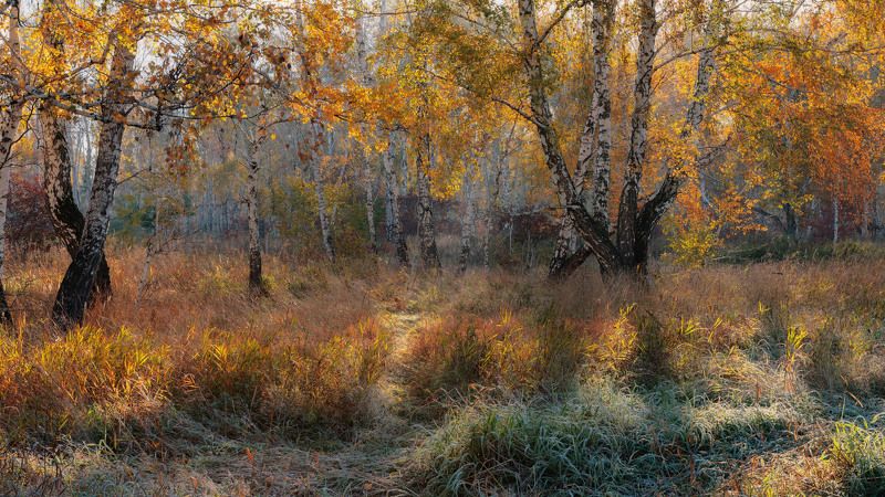 Осенний танец фото превью