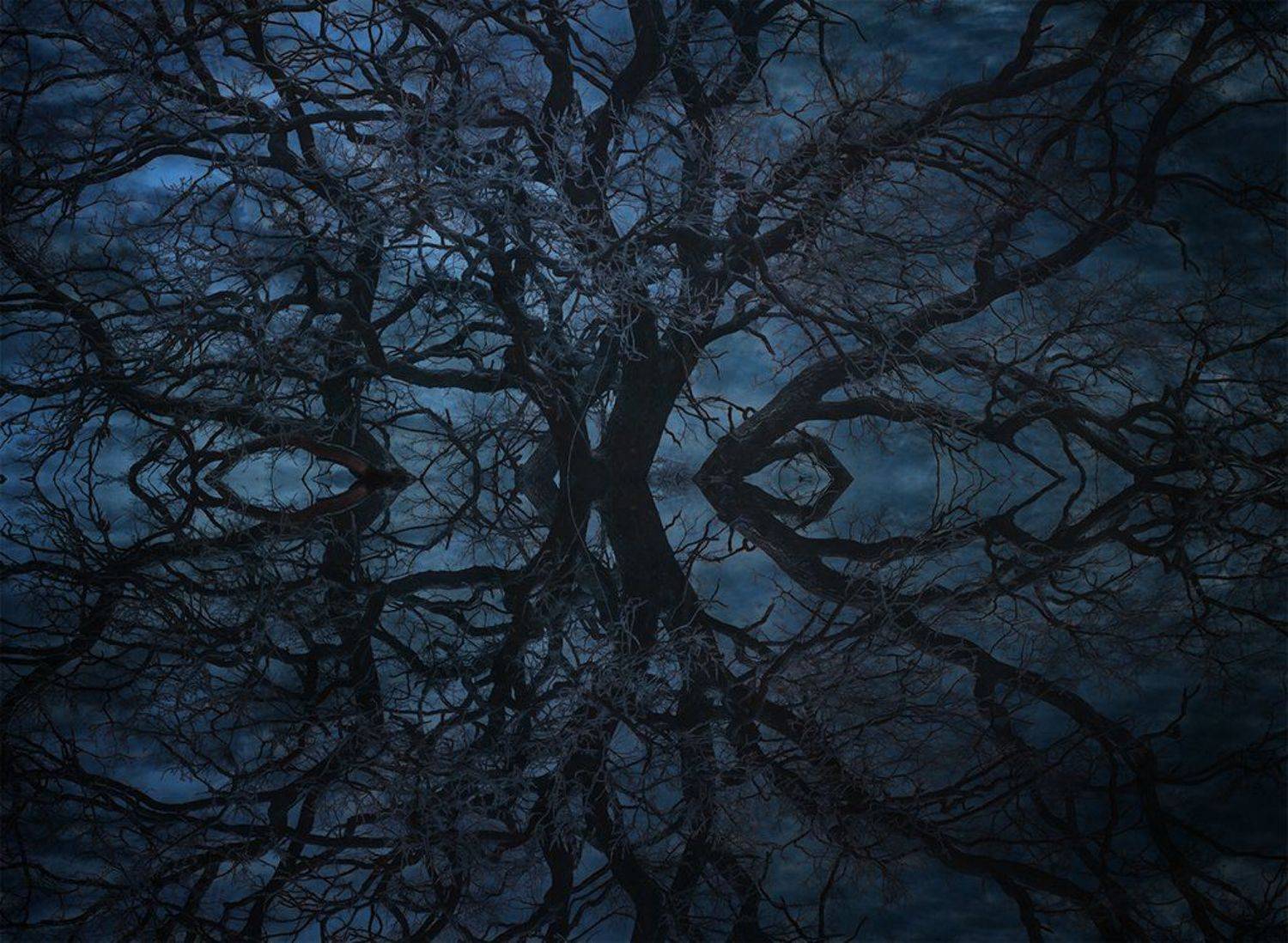 , Кондратенко Кирилл