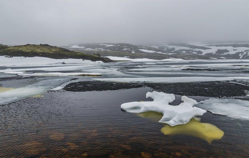 дикая природа россии, кольский п-ов, лето, озеро, пейзаж, природа, Путешествие, север, Туризм По дороге на Баренцево (июнь) фото превью