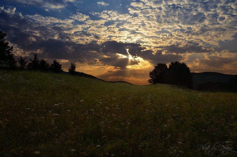 nature Yтро фото превью