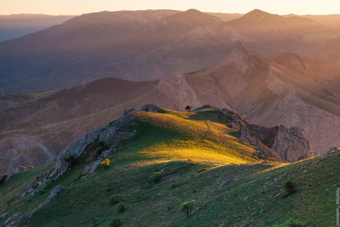 , Ярослав Тюрменко (Jaremi)