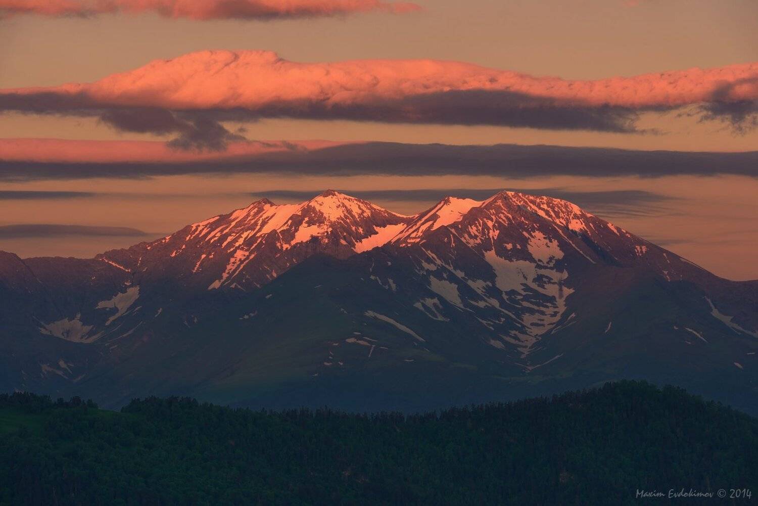 , Максим Евдокимов