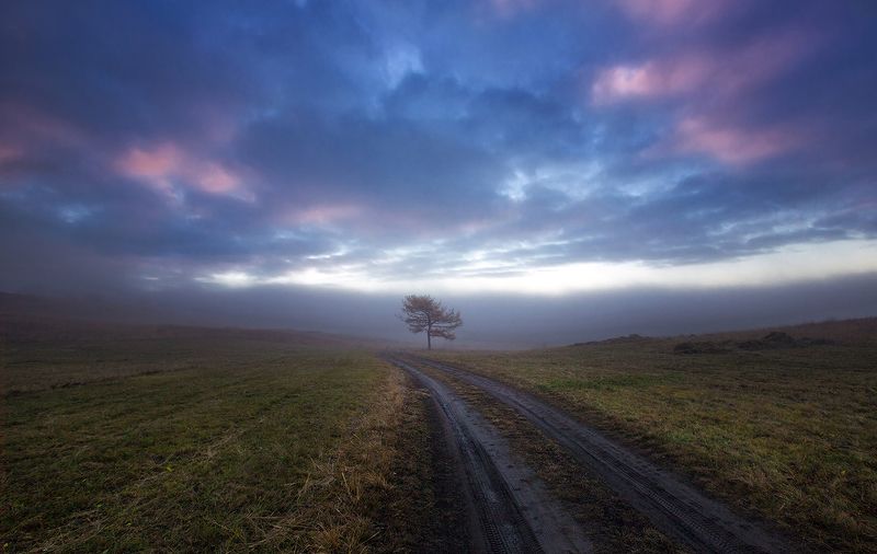 Утро... фото превью