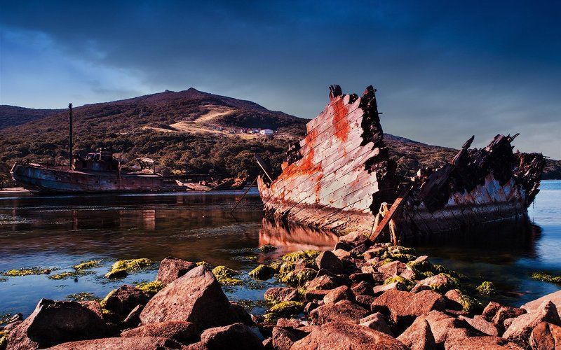 Arrive фото превью