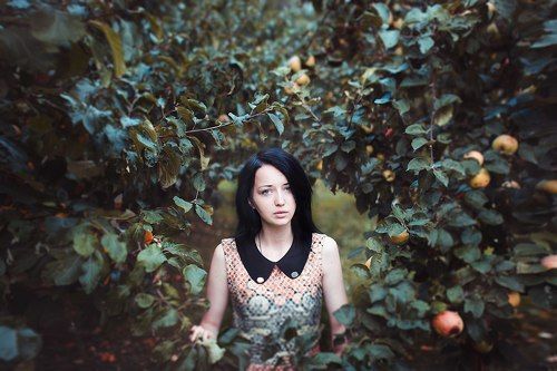 Где-то в яблоневом садике