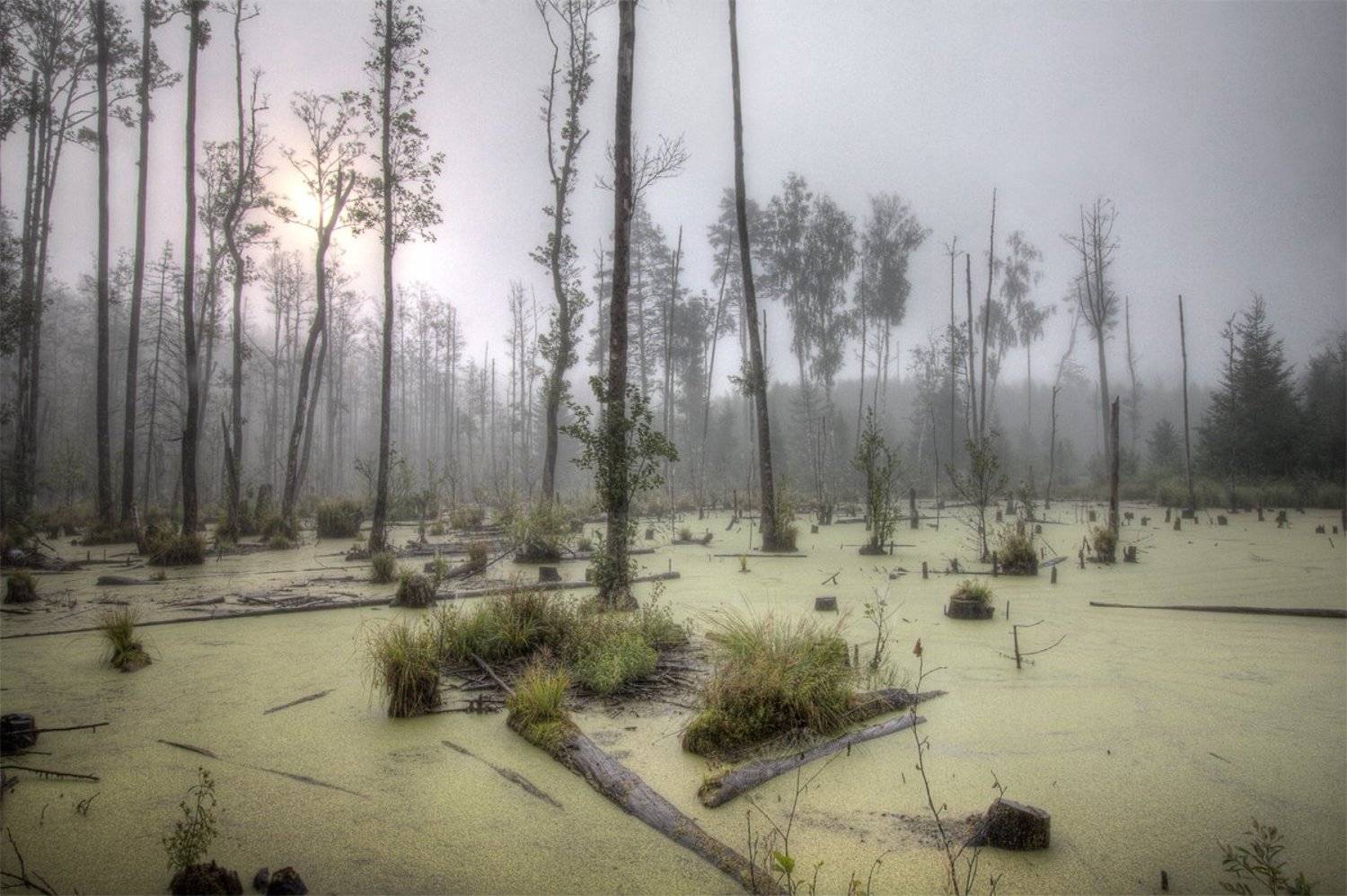 , Marius Gailiu&scaron;is