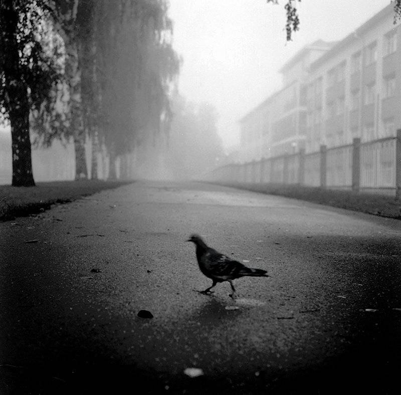 , Павел Мартюшев