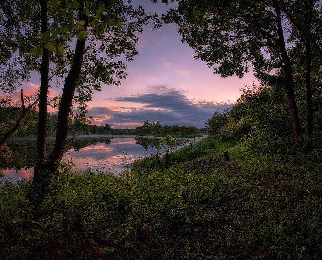 , Михаил Кушнер