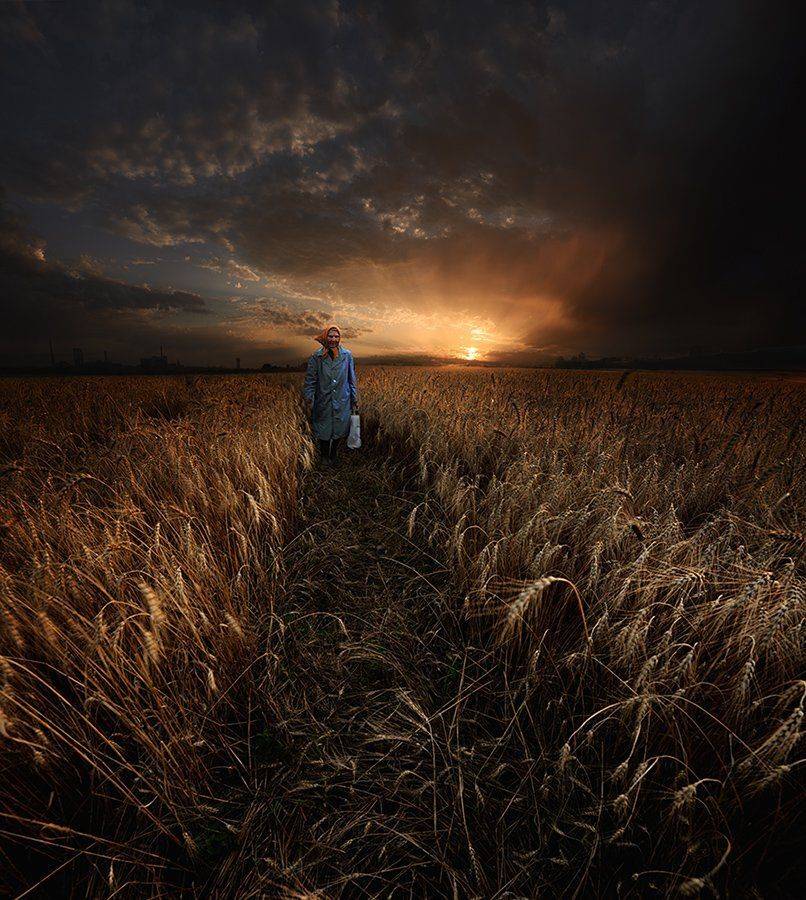 , Дeнис Бoдрoв