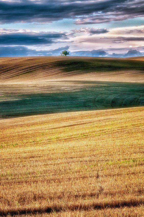 , Wojtek Kapuściński