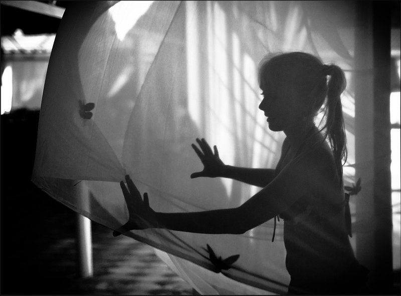 паруса.. фото превью